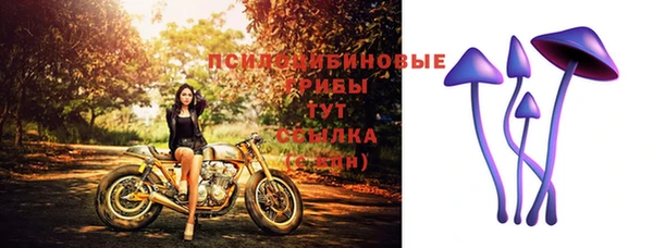 спиды Алзамай