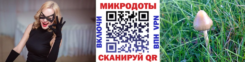 Псилоцибиновые грибы MAGIC MUSHROOMS  мега   Волхов 